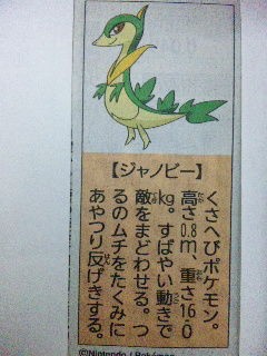 ポケモン故事成語 Kh30 J47tigersのblog