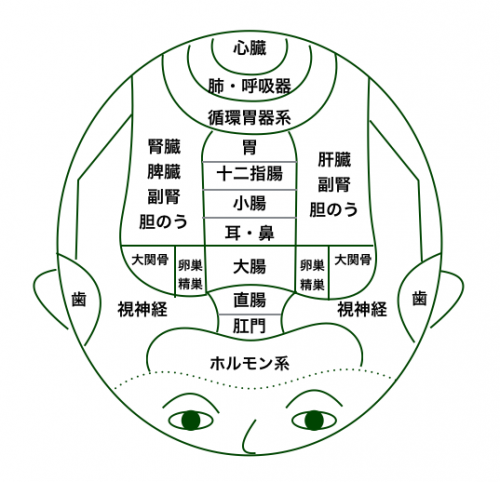 白髪や脱毛 頭皮の色で見る身体の不調 Hair Make Kiaora 脱毛症や薄毛 白髪でお悩みの方専門