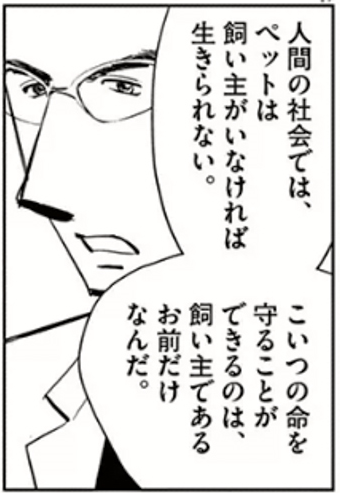 獣医版BJ 「獣医ドリトル」夏緑/ちくやまきよし(全20巻) : 子どもに読