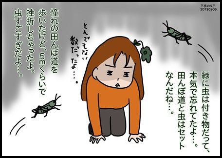 イラストエッセイ 憧れの理想と現実 ちょっきな のり子 ちょっときなさい２