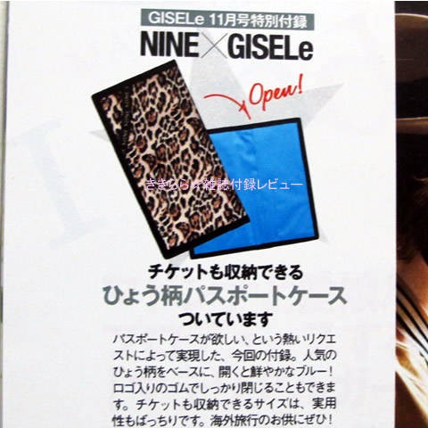 NINE（ナイン）パスポートケース【GISELe (ジゼル) 2010年 11月号