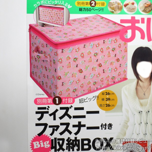 ディズニーファスナー付きBig収納BOX【おはよう奥さん 2011年 12