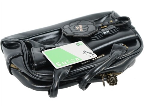 ANNA SUI mini ロングハンドルボストンバッグBOOK 全2種 : ききらら