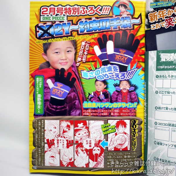 ONE PIECE 手ぶくろ【最強ジャンプ 2012年 02月号】 : ききらら☆雑誌