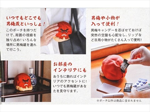 男を磨く梅がある 男梅 シリコンポーチBOOK 男梅蔵 ポーチの真髄 孤高なる男 男を磨く梅がある 男梅 シリコンポーチBOOK│宝島社の通販 宝島