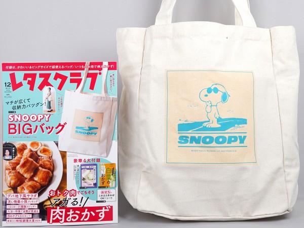 レタスクラブ 2024年 12月増刊号 《付録》 マチが広くて収納力ゔ