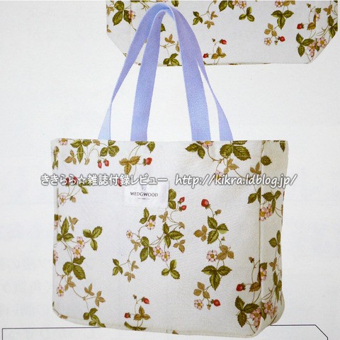 2011年6月発売スケジュール : ききらら☆雑誌付録レビュー