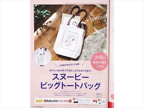 雑誌付録 steady. ステディ. 2020年 11月号 増刊 【付録】 リサ・ラーソン