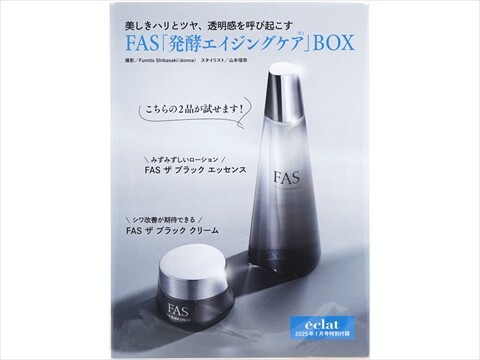 eclat (エクラ) 2025年 1月号 《付録》 山本容子「クリスマスの思い出