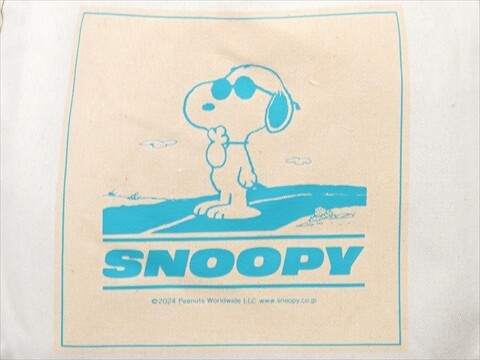 レタスクラブ 2024年 12月増刊号 《付録》 マチが広くて収納力ゔ