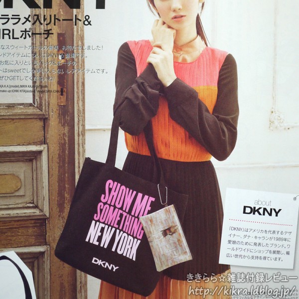 2023特集 Leather DKNY DKNY Patent ポーチ レディース