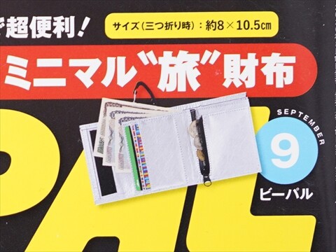BE-PAL (ビーパル) 2026年 9月号 《付録》 SOTO ミニマル“旅”財布 : き