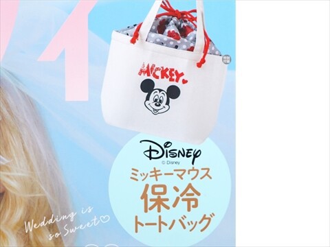 ディズニー バック Disney ディズニー 合皮エアバッグ : AXCIS - 通販 - Yahoo