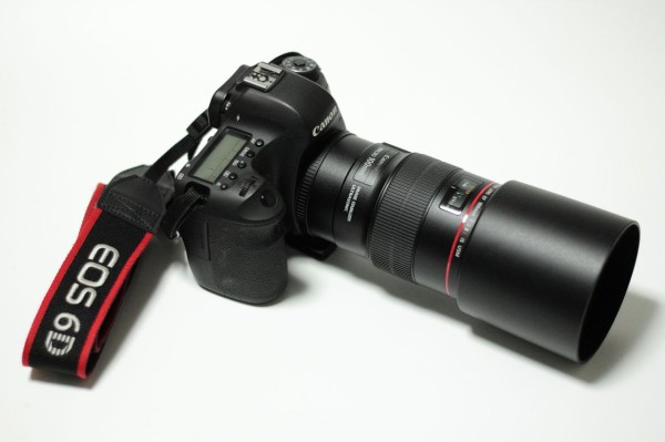 Canon EF100mm F2.8Lマクロ IS USM - レンズ(単焦点)