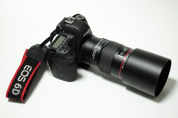 EF100mm F2.8L マクロ IS USM - nayaabhaandi.com