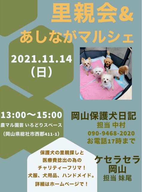 11 14 日 里親会 あしながマルシェ告知 ケセラセラ 岡山 保護犬からまだ見ぬ里親様へ