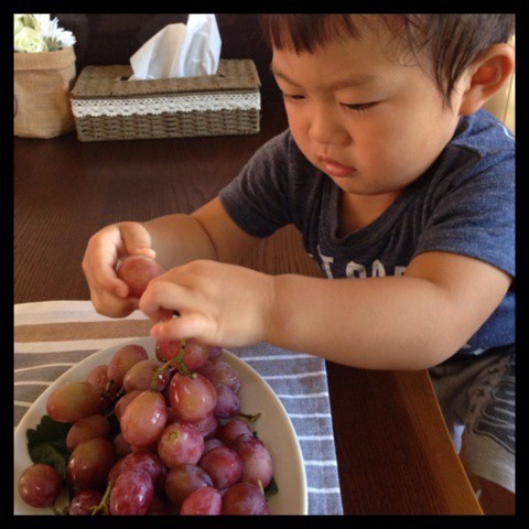 甘くてねっとり美味しい 我が家の黄金比のかぼちゃの煮物 と毎日がコント 笑 ちゃんちー家の気ままな日々とおうちごはん Powered By ライブドアブログ