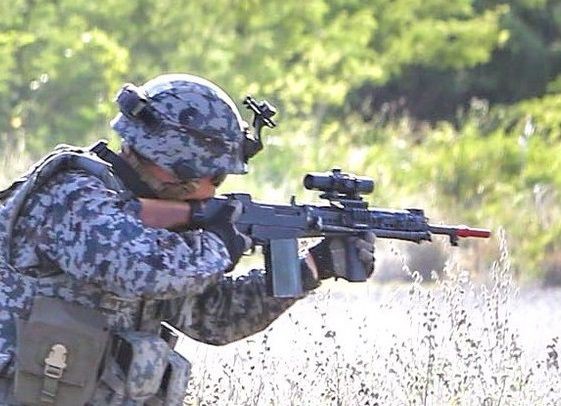 64式小銃(カスタム) - トイガン最 安 価格