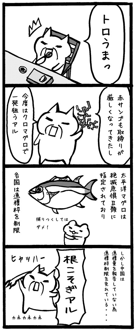 四コマ漫画 赤サンゴの次はクロマグロ このままだと中国人が根こそぎ食い尽くしてしまう キムチカクテルで乾杯 四コマ韓国情報