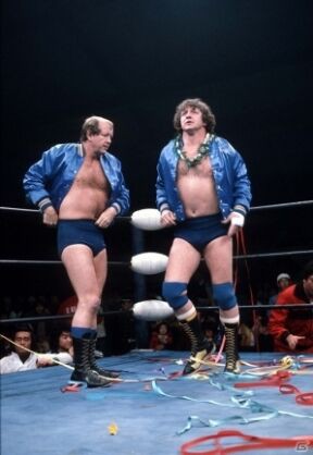 puffer_17_1510265328627