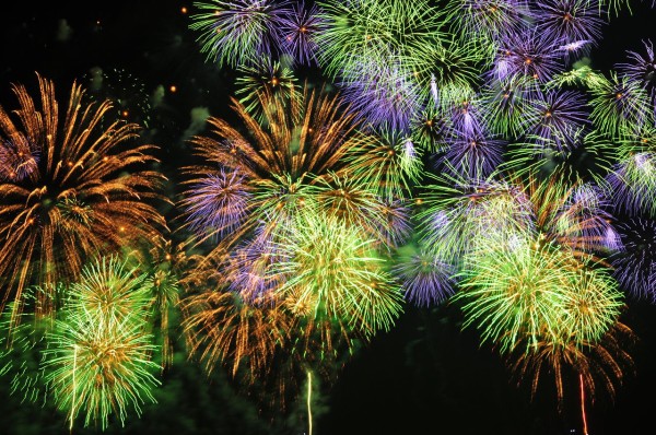 長岡 花火 夏の終わり ガチだから 私 Tales Of Little Fishes