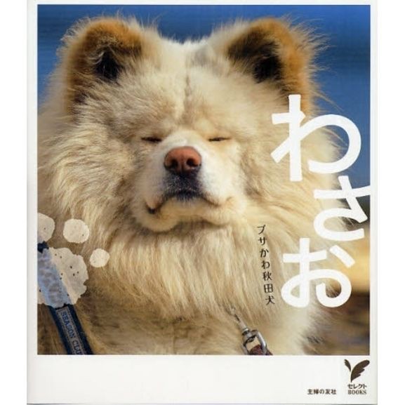 秋田犬 わさお の飼い主 菊谷節子さん死去 気になる今日のまとめ