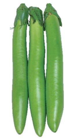 ナス苗 品種紹介 その2 キントラ種苗 オフィシャルブログ