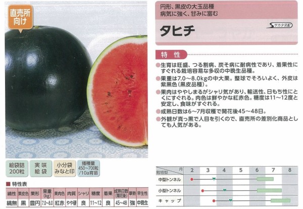 今年のスイカ苗ラインナップ（大玉） : キントラ種苗 オフィシャルブログ