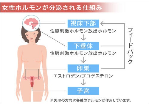 乱れ ホルモン バランス