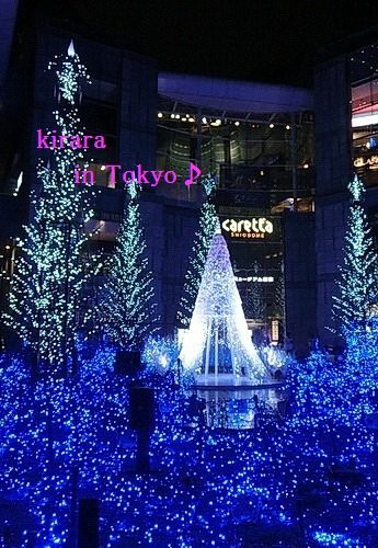 クリスマスイルミネーション14 In 東京 美味しいプチセレブライフ