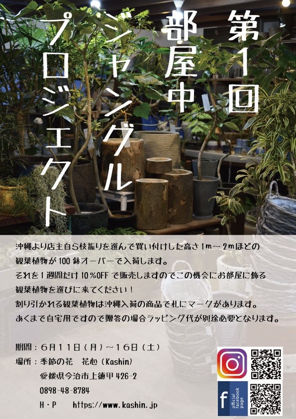 第一回 部屋中ジャングルプロジェクト 季節の花 花心 Kashin 公式ブログ