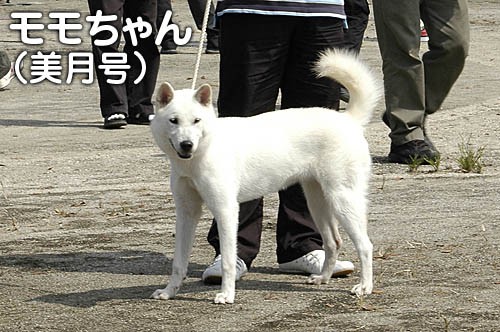 見学して来ました 栃木展 大宮の風