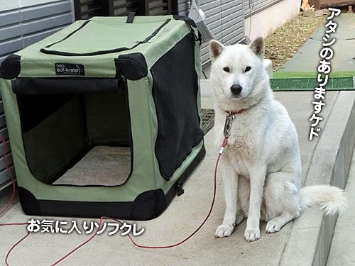 年末年始仕様 大宮の風