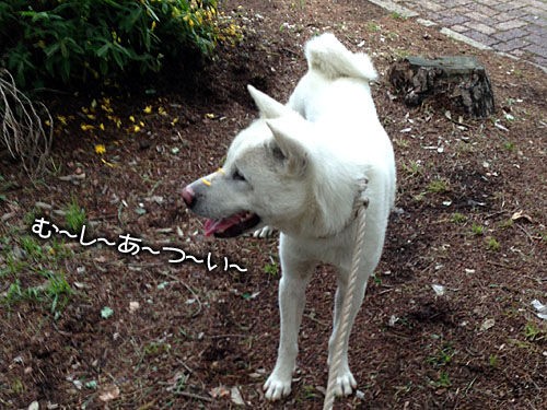 今年もこの感覚 大宮の風