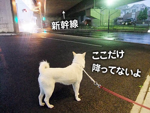 ゆうだちキタ ﾟ ﾟ ッ 大宮の風