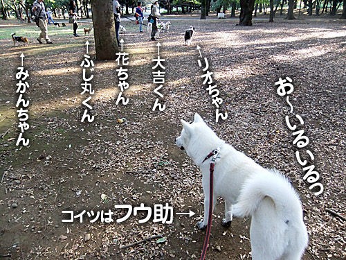 代々木公園でお散歩会 大宮の風