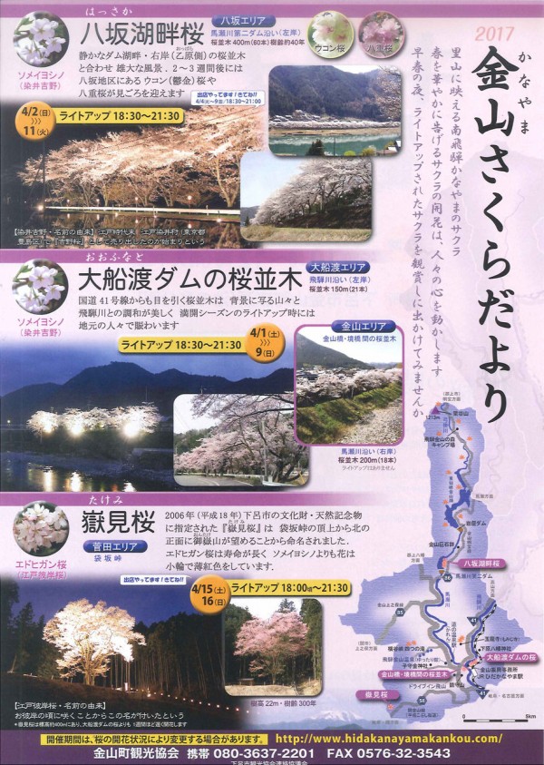 金山さくらだより パンフレト 下呂市金山地区 下呂温泉のお天気等情報ｂｙ下呂温泉木曽屋公式ブログ つぶやき