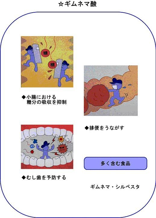 ギムネマ酸について 食と健康 現代人に必要な知識