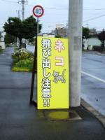 ネコ飛び出し注意！！ : KITACOMPO MANIAX 改訂版