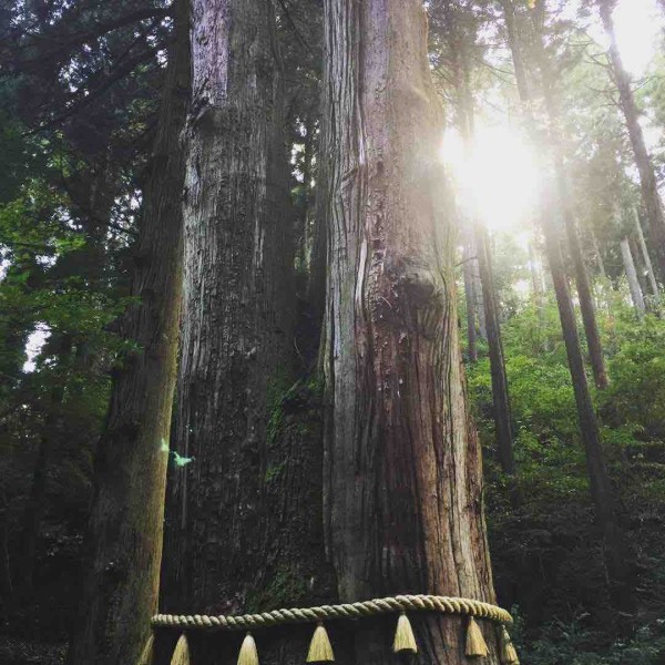 御岩神社 キタイノブログ 仮題