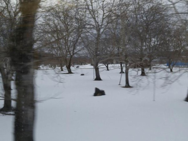 信州方面スタンプ収集の旅二日目後半 北近江人の東方 乗り鉄 乗りバスぶらり旅