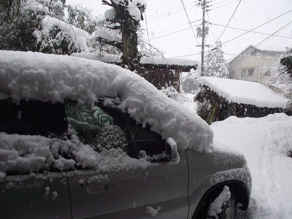 山口市阿東の大雪情報 : 北浦自然観察会