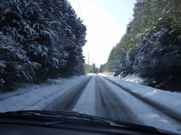 山口市阿東の大雪情報 : 北浦自然観察会