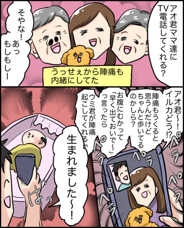 思ってたんと違う産後入院レポ イルカの日常 ポンコツ主婦と愉快な仲間たち Powered By ライブドアブログ