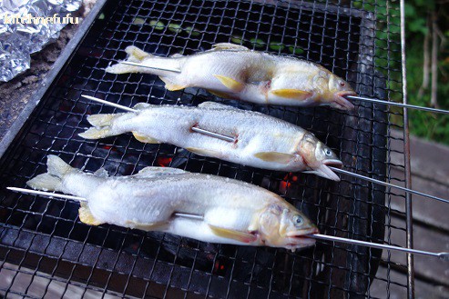 鮎の塩焼き☆BBQで美味しさ倍増 : キッチン夫婦 Powered by
