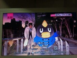 くもジローの冬服 くろぺんぎんさんのあれこれ話 V