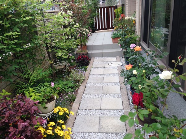 香りのバラ達 ｈｔ きよひめの気ままにロザリアン