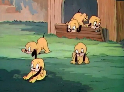 プルートには子どもがいた きよみたん かずちん師匠の写真集 ブログ