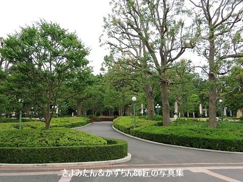 Tdl ピクニックエリアのプーさんと仲間たちのトピアリー きよみたん かずちん師匠の写真集 ブログ