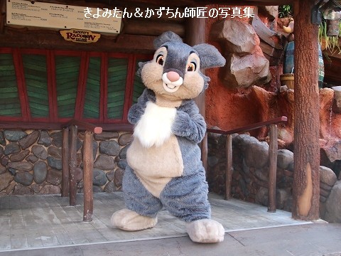 Tdl Tds グリーティング写真集 22年3月 きよみたん かずちん師匠の写真集 ブログ